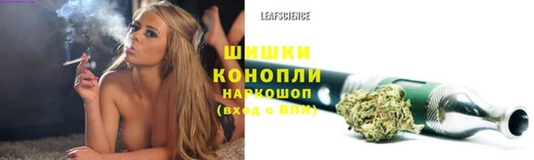 спайс Беломорск